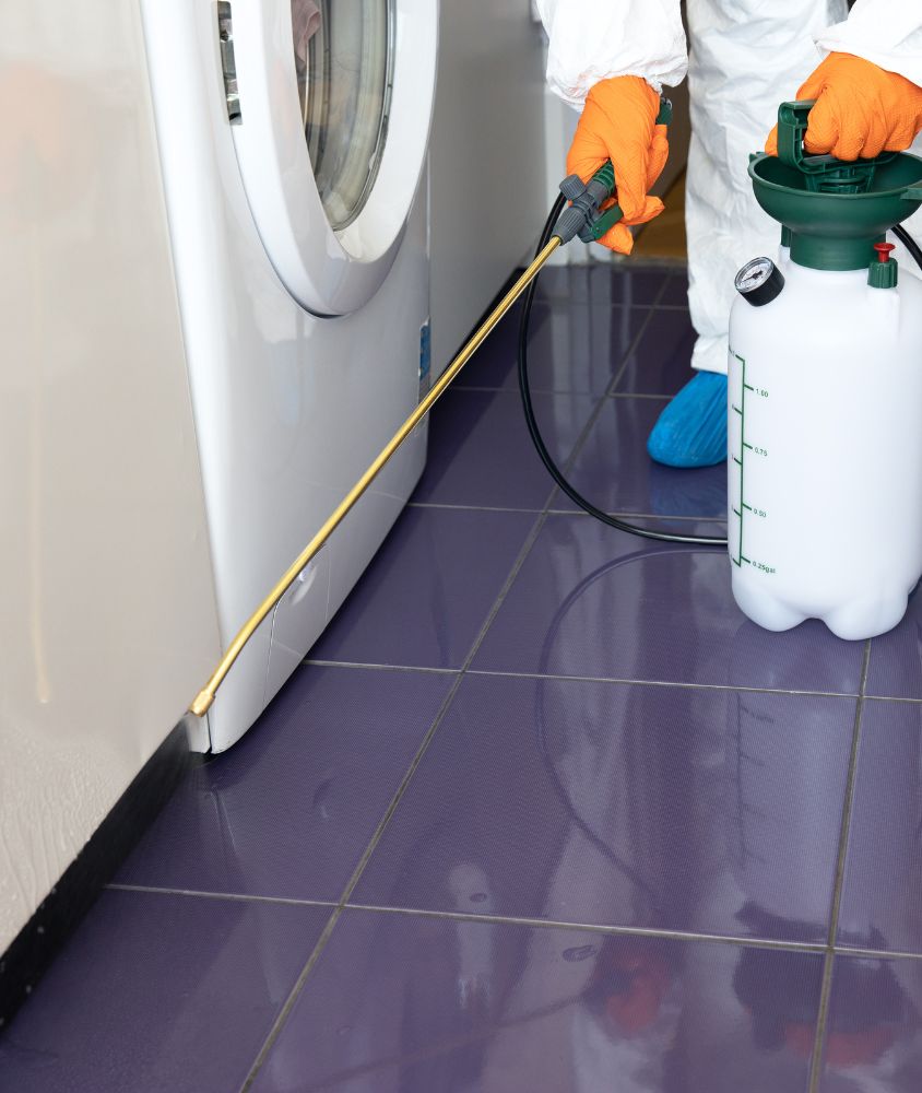 Dedetização em Joinville