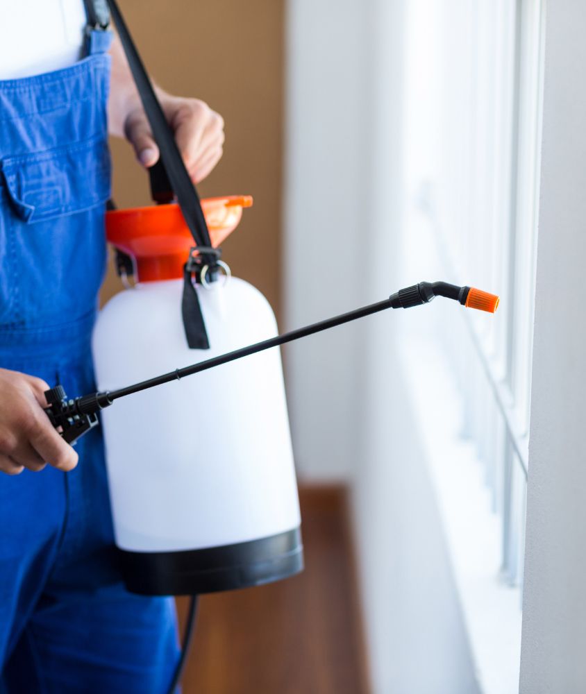 dedetizador em Joinville