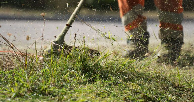 corte de grama em Joinville