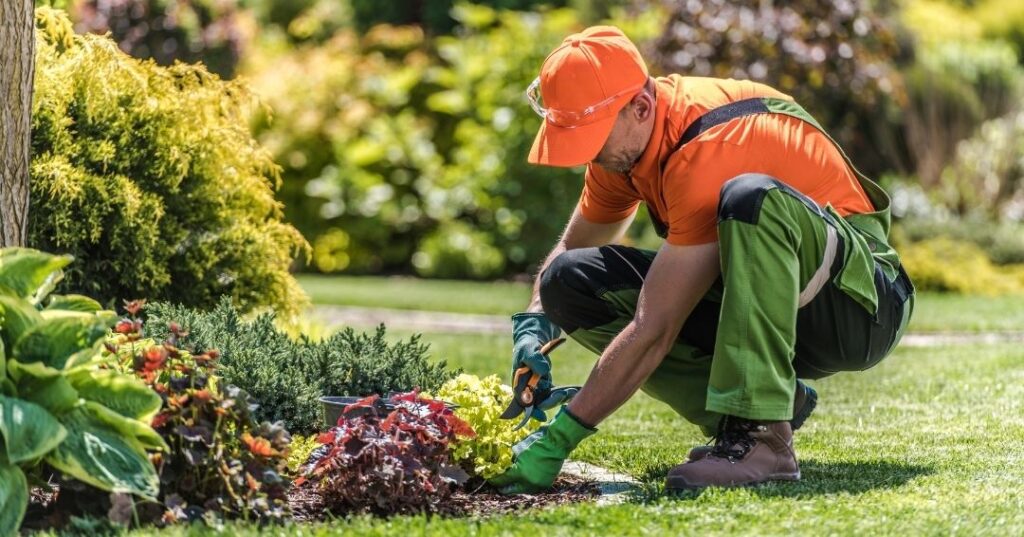 implantação de jardins em Joinville