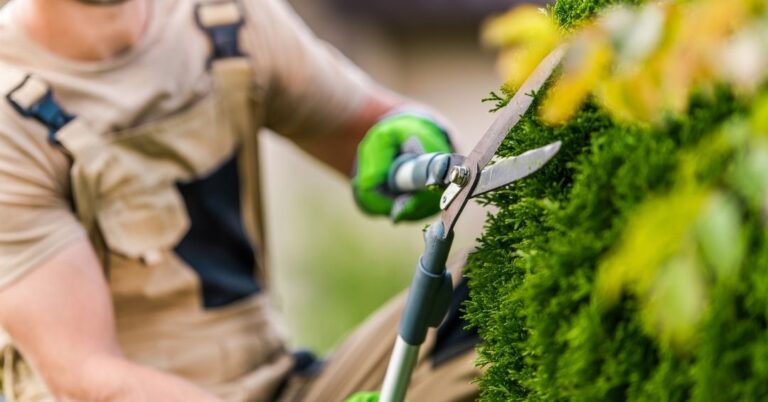 manutenção de áreas verdes em Joinville
